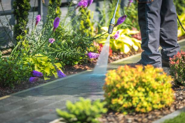 Professional Pressure Washing Services in Bala Cynwyd, PA